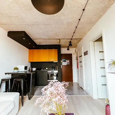 Industrial 9th Floor With Balcony And Views Varsavia