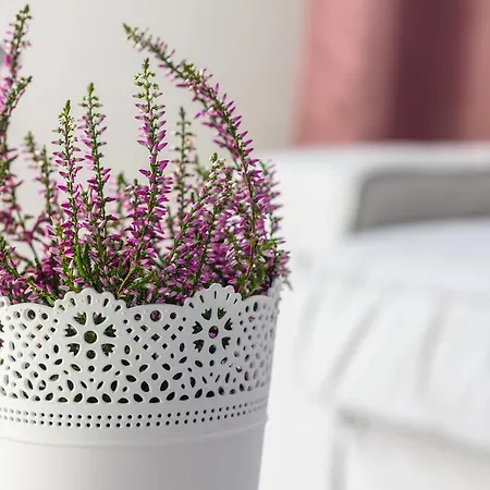 9th Floor Panoramic View Quiet Modern By Polandbnb